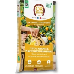 Citrusjord och medelhavsväxter - GULDBRUN - OBRTAG20N - 20 L