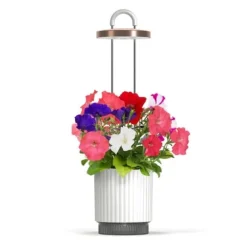 Click Grow - HydroVase - White