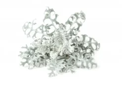 Click & Grow- Smart Garden Refill 3-pack Dusty Miller