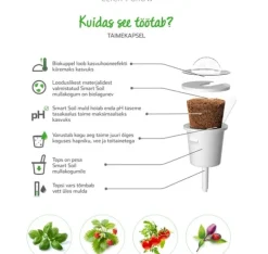 Click & Grow Smart Garden refill Pepparmynta 3st