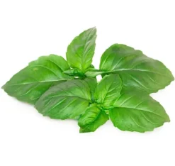 Click & Grow Smart Garden refill Marseille Basil 3st