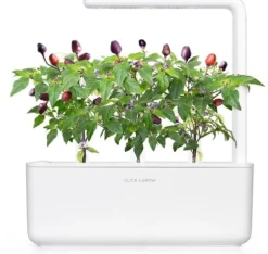Click & Grow Smart Garden refill Lila Chilipeppar 3st