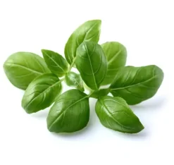 Click & Grow Smart Garden refill Basil 3st