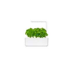 Click & Grow Smart Garden refill Basil 3st