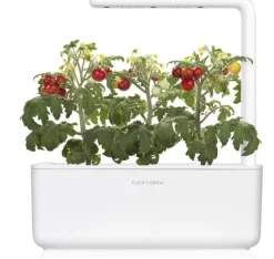 Click & Grow Smart Garden refill Mini Tomato 3st
