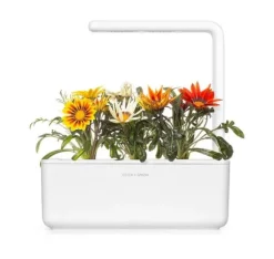 Click & Grow Smart Refill Gasania 3st