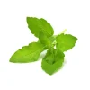Click and Grow - Smart Garden Refill 3-pack - Holy Basil (SGR66X3)