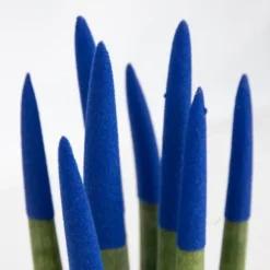 Cylindrisk svärmorstunga - Sansevieria cylindrica - Höjd 20-40cm - ⌀9cm