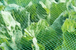 Dammnät 14 m x 8 m Hägerskydd Silonät Bladskyddsnät Fågelskyddsnät Bladnät