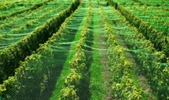 Dammnät 14 m x 6 m Lövskyddsnät Hägernät Silonät Lövnät Fågelskyddsnät