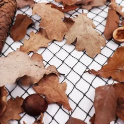 Dammnät 5 m x 20 m Svart Fiskdammsnät Bladnät Nät Fågelskyddsnät robust