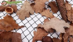 Dammnät 3 m x 10 m Svart Fiskdammsnät Bladnät Nät Fågelskyddsnät robust