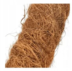 Dekorativt växtstöd för kokosnöt, Eco 120 cm