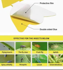 12-delade klibbiga fällor för svampmyggor, fruktflugor, vita flugor och husflugor, lämpliga för inomhus-/utomhusbruk, kök och växter, exklusivt lim, | CDON