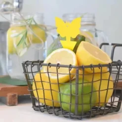 12-delade klibbiga fällor för svampmyggor, fruktflugor, vita flugor och husflugor, lämpliga för inomhus-/utomhusbruk, kök och växter, exklusivt lim, | CDON