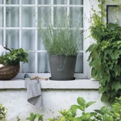 DEROMA Origin fat - 67 x h6 cm - Grå