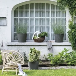 DEROMA Origin fat - 67 x h6 cm - Grå