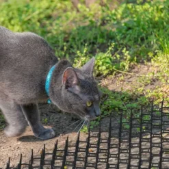 Djuravvisande galler set, 3x49x14 cm, Svart