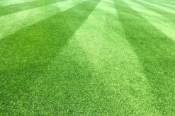 DOLOMIT Kalcium-Magnesium Gödselpulver 20KG BIOVITA