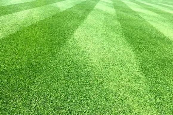 DOLOMIT Kalcium-Magnesium Gödselpulver 20KG BIOVITA