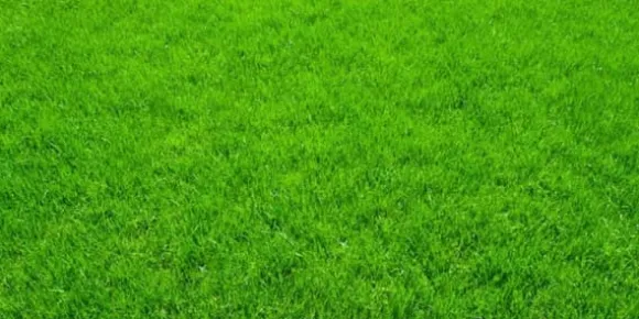 DOLOMIT Kalcium-Magnesium Gödselpulver 10 kg BIOVITA