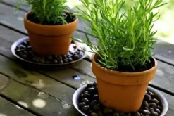 Dränering av expanderad lera för trädgårdar 5L 8-16mm