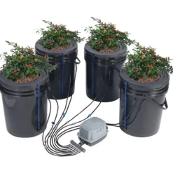 DWC Hydroponics Odlasystem Djupvattenkultur med Top Drip, 4 hinkars set, effektiv växttillväxt, lätt att använda