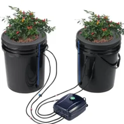 DWC Hydroponics Odling System Djupvattenkultur med Top Drip 2 Hinkar, effektiv växtodling, hydroponisk odlingsteknik