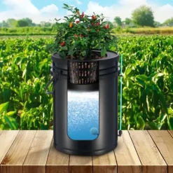 DWC Hydroponics Odling System Djupvattenkultur med Top Drip 2 Hinkar, effektiv växtodling, hydroponisk odlingsteknik