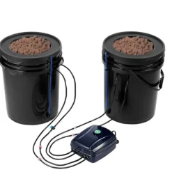 DWC Hydroponics Odling System Djupvattenkultur med Top Drip 2 Hinkar, effektiv växtodling, hydroponisk odlingsteknik
