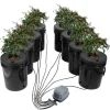 DWC Hydroponics Odling System, Deep Water Culture, 8 Hinkar, Luftpump, Effektiv Vattentillförsel, Optimerad Växttillväxt