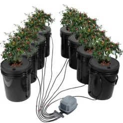 DWC Hydroponics Odling System, Deep Water Culture, 8 Hinkar, Luftpump, Effektiv Vattentillförsel, Optimerad Växttillväxt