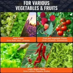 DWC Hydroponics Odling System, Deep Water Culture, 8 Hinkar, Luftpump, Effektiv Vattentillförsel, Optimerad Växttillväxt