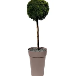 EDA Kruka/Hög Vas TOSCANE - 67 L - Ø 46 x H 65 cm - Taupe