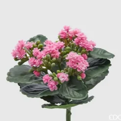 EDG CESPUGLIO DI KALANCOE H23XD19CM ROSA, HEM, DEKORATIVA TILLBEHÖR, KONSTIGA BLOMMAR