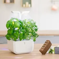 Ekonomisk köksträdgård - RIKTIGT - Exky Classic vit + 2 tackor