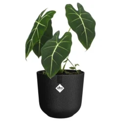 ELHO Blomkruka Jazz Rund - Svart - Ø 26 x H 24 cm - Inomhus - 100% återvunnen