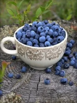 Emerald Complex flerkomponent vårgödsel för blåbär 1,75 kg