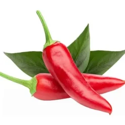 EMSA Set med 3 Click&Grow Chili-kapslar