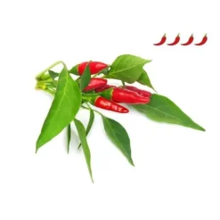 EMSA Set med 3 Click&Grow Chili-kapslar