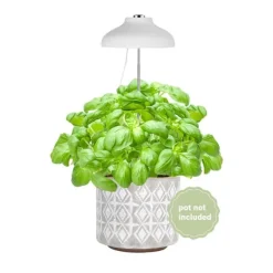 Enne Bijou Grow -växtbelysning, USB, 5 W, 240 lm, vit