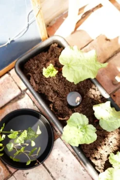 Epoque balkonglåda 60 cm långtidsbevattning