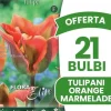 ERBJUDANDE 21 BULBER AV TULPAN VIRIDIFLORA ORANGE MARMELADE BOMBER