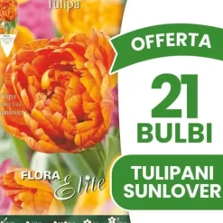 ERBJUDANDE 21 TULPANBULBENS DOUBLE EARLY SUNLOVERI BULBERS BULAR