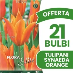 ERBJUDANDE 21 TULPANLÖK FIOR DI GIGLIO SYNAEDA ORANGE LÖKAR