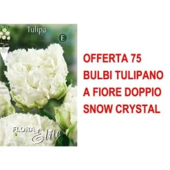 ERBJUDANDE 75 TULPANLÖKAR MED DUBBLA BLOMMOR SNOW CRYSTA HÖSTLÖKAR LÖKAR LÖKAR