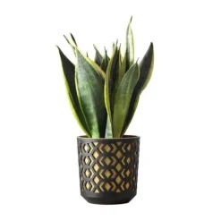 Etnisk blomkruka svart och guld 19xh20 cm