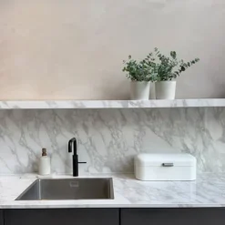 Eukalyptus - Set om 2 - Eucalyptus 'Pulverulenta' - Höjd 25-40cm - ⌀13cm