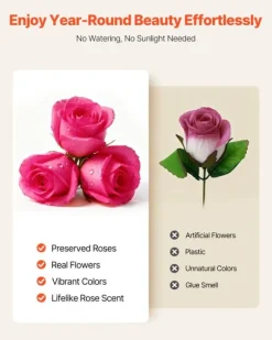 Evighetsrosor - Rosor i låda - 27 st - Konserverade rosor - Gåva för födelsedag/jubileum/Alla hjärtans dag - Rosröd