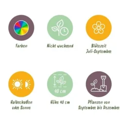 Exotisk hjärta blomsterlökar - Freesia Double Mix (40 stycken) diameter 5-6cm